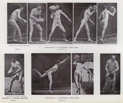 Ludzka postać w ruchu: unoszenie 75-funtowego głazu; Podnoszenie 20-funtowego głazu (zdjęcie czarno-białe) autorstwa Eadweard Muybridge