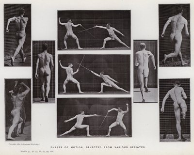 Figura ludzka w ruchu: fazy ruchu wybrane z różnych serii (zdjęcie czarno-białe) autorstwa Eadweard Muybridge