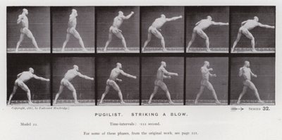 Postać ludzka w ruchu: Pugilist, zadający cios (zdjęcie czarno-białe) autorstwa Eadweard Muybridge