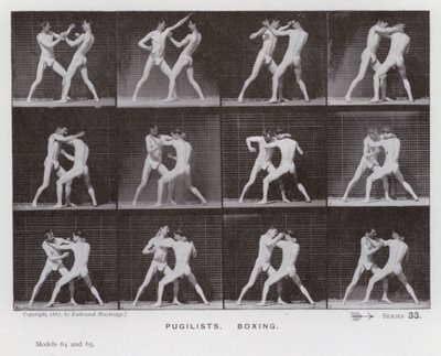 Postać ludzka w ruchu: pięściarze, boks (zdjęcie czarno-białe) autorstwa Eadweard Muybridge