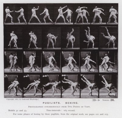 Postać ludzka w ruchu: pięściarze, boks (zdjęcie czarno-białe) autorstwa Eadweard Muybridge