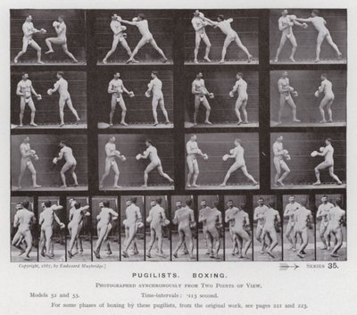 Postać ludzka w ruchu: pięściarze, boks (zdjęcie czarno-białe) autorstwa Eadweard Muybridge