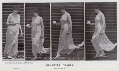 Postać ludzka w ruchu: wybrane fazy (zdjęcie czarno-białe) autorstwa Eadweard Muybridge