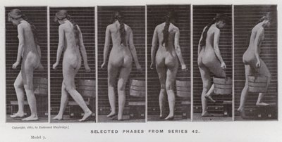 Figura ludzka w ruchu: wybrane fazy z serii 42 (zdjęcie czarno-białe) autorstwa Eadweard Muybridge