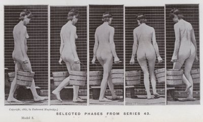 Figura ludzka w ruchu: wybrane fazy z serii 43 (zdjęcie czarno-białe) autorstwa Eadweard Muybridge