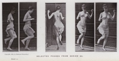 Figura ludzka w ruchu: wybrane fazy z serii 55 (zdjęcie czarno-białe) autorstwa Eadweard Muybridge