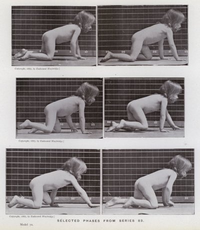 Figura ludzka w ruchu: wybrane fazy z serii 83 (zdjęcie czarno-białe) autorstwa Eadweard Muybridge