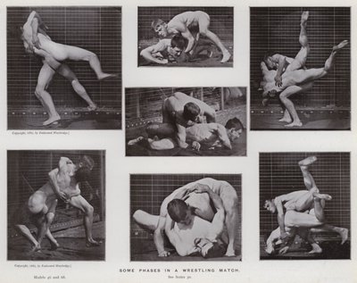 Postać ludzka w ruchu: niektóre fazy meczu zapaśniczego (zdjęcie czarno-białe) autorstwa Eadweard Muybridge