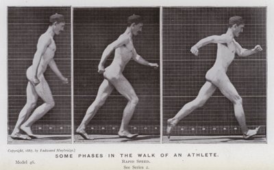 Postać ludzka w ruchu: niektóre etapy chodu sportowca (zdjęcie czarno-białe) autorstwa Eadweard Muybridge