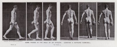 Postać ludzka w ruchu: Niektóre etapy chodu sportowca niosącego 50-funtowy hantle (zdjęcie czarno-białe) autorstwa Eadweard Muybridge
