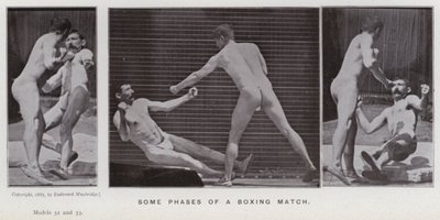 Postać ludzka w ruchu: niektóre fazy meczu bokserskiego (zdjęcie czarno-białe) autorstwa Eadweard Muybridge