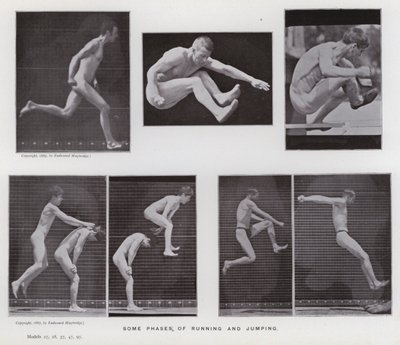 Postać ludzka w ruchu: niektóre fazy biegania i skakania (zdjęcie czarno-białe) autorstwa Eadweard Muybridge