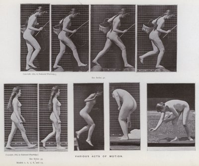 Postać ludzka w ruchu: różne akty ruchu (zdjęcie czarno-białe) autorstwa Eadweard Muybridge