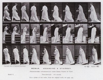 Postać ludzka w ruchu: Kobieta, wchodząc po schodach (zdjęcie czarno-białe) autorstwa Eadweard Muybridge