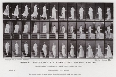 Postać ludzka w ruchu: kobieta schodząca po schodach i odwracająca się (zdjęcie czarno-białe) autorstwa Eadweard Muybridge