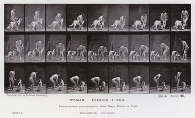 Postać ludzka w ruchu: kobieta karmiąca psa (zdjęcie czarno-białe) autorstwa Eadweard Muybridge