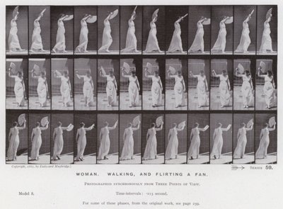 Postać ludzka w ruchu: kobieta, spacerująca i flirtująca z fanem (zdjęcie czarno-białe) autorstwa Eadweard Muybridge