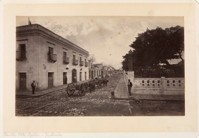 Przedstawicielstwo Stanów Zjednoczonych, Gwatemala autorstwa Eadweard Muybridge