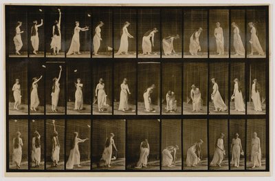 Kobieta wyrzucająca chusteczkę w powietrze i podnosząca ją, z książki Animal Locomotion autorstwa Eadweard Muybridge