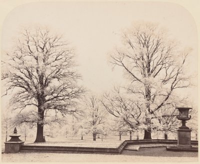 Szron, scena w parku, 1862 (zdjęcie) autorstwa Earl of Caithness