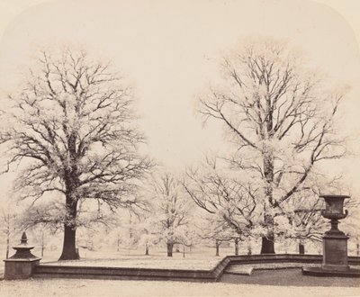Szron, scena parkowa, 1862. autorstwa Earl of Caithness James Sinclair