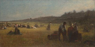 Zbieracze żurawin, ok. 1878-79 autorstwa Eastman Johnson