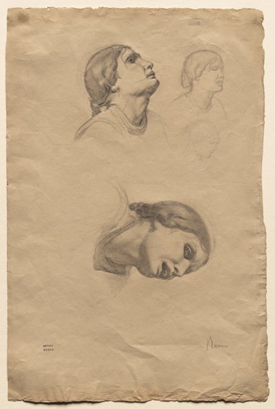 Cztery Studia Głowy Młodej Włoszki, 1856. autorstwa Edgar Degas