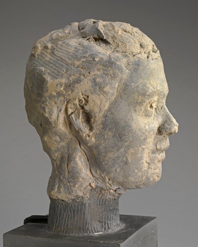 Głowa, Studium do portretu Mme Salle, ok. 1892 (glina, metalowa armatura, na drewnianej podstawie) autorstwa Edgar Degas