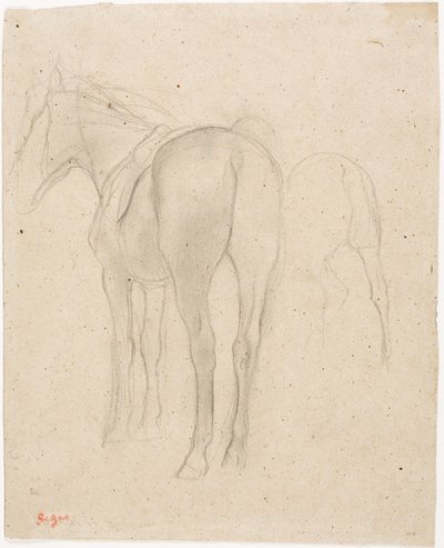 Studia nad koniem autorstwa Edgar Degas