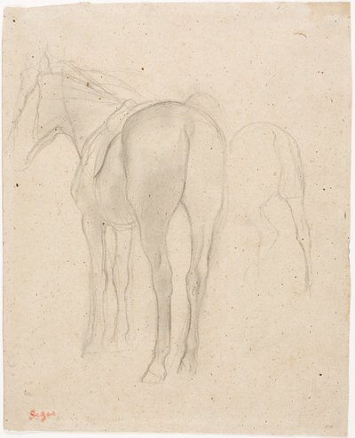Badania konia autorstwa Edgar Degas