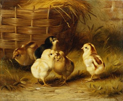 Pisklęta przy koszyku autorstwa Edgar Hunt