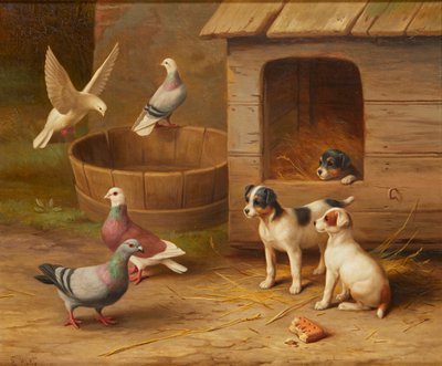 Szczenięta i gołębie (olej na płótnie) autorstwa Edgar Hunt