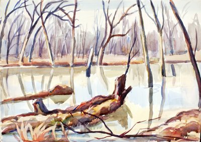 Rock Creek, Zima, ca. 1920-1929. autorstwa Edgar Nye