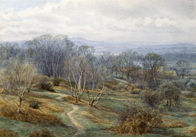 Hampstead Heath patrząc w stronę brony na wzgórzu, ok. 1880 (wc na papierze) autorstwa Edith Martineau