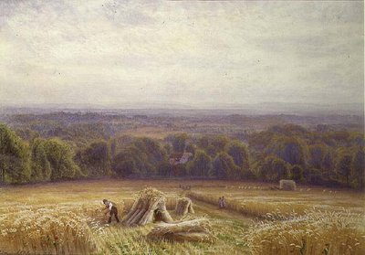 Żniwny autorstwa Edmund George Warren