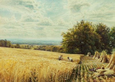 Żniwiarze, 1865 autorstwa Edmund George Warren