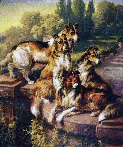 Collie autorstwa Edmund Henry Osthaus