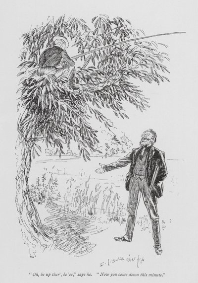 Ilustracja do książki Tom Brown