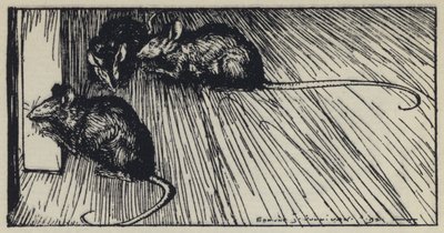 Ilustracja do Tennysons Maud autorstwa Edmund Joseph after Sullivan