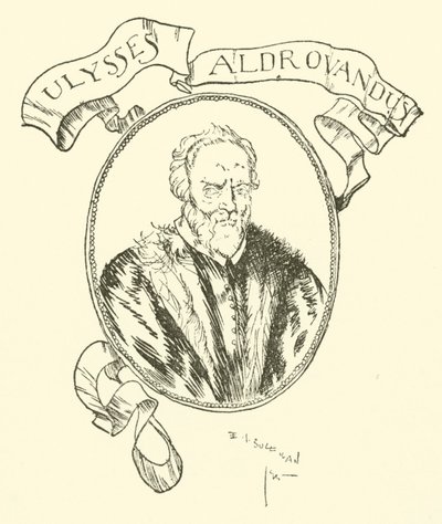 Ulisses Aldrovandus autorstwa Edmund Joseph after Sullivan