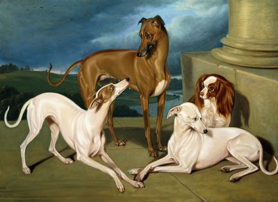 Whippety i King Spaniel, 1837 autorstwa Edmund Jr Havell