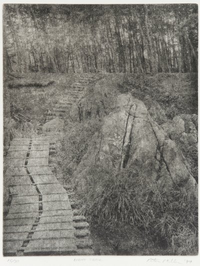 Szlak światła, 1994 autorstwa Edouard Cremieux