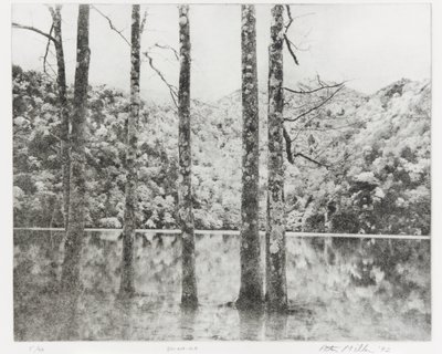 Toki-Noko, 1992 autorstwa Edouard Cremieux