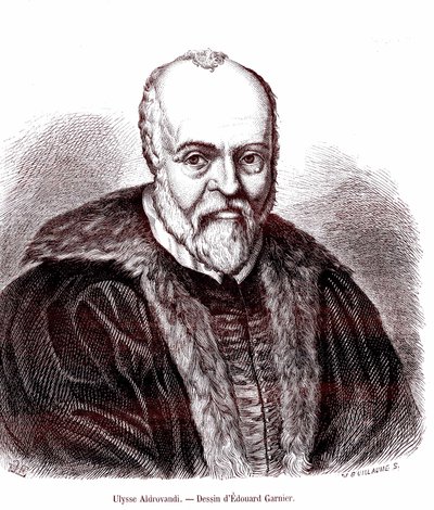 Ulisse Aldrovandi autorstwa Edouard Garnier