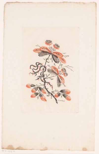 Kwiaty i pąki Fleurs Idealle (tytuł serii) autorstwa Edouard Gautier Dagoty