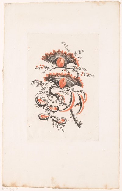 Kwiaty w kształcie wachlarza Fleurs Idealle (tytuł serii) autorstwa Edouard Gautier Dagoty