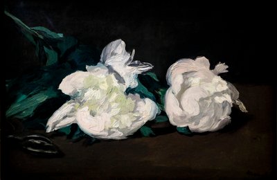 Gałąź białych piwonii i sekatorów autorstwa Édouard Manet