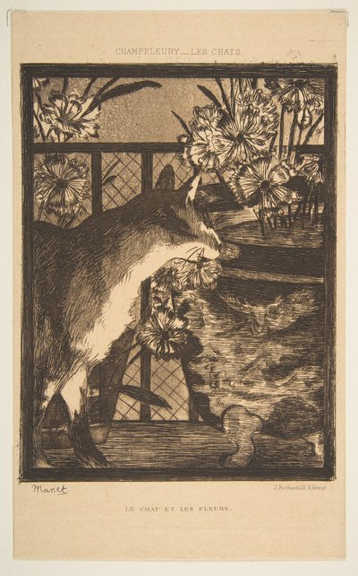 Kot i kwiaty. Ilustracja do The Cats autorstwa Champfleury, 1869. autorstwa Édouard Manet
