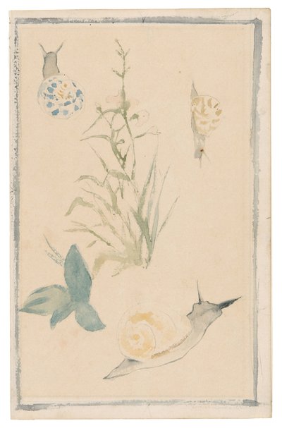Manet - Szkice ślimaków, kwitnąca roślina, 1864-68 autorstwa Édouard Manet