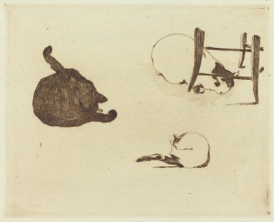 Koty (Les czaty) autorstwa Édouard Manet